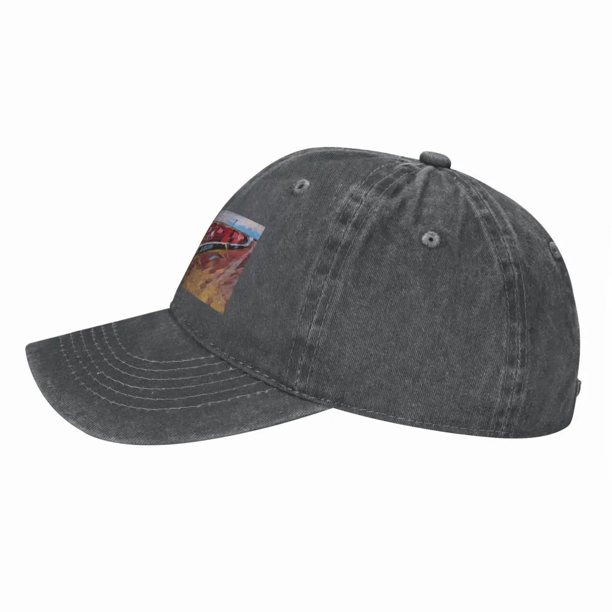 Бейсболка The Ghan Train Austr – обзор и цена Cap Streetwear Brand